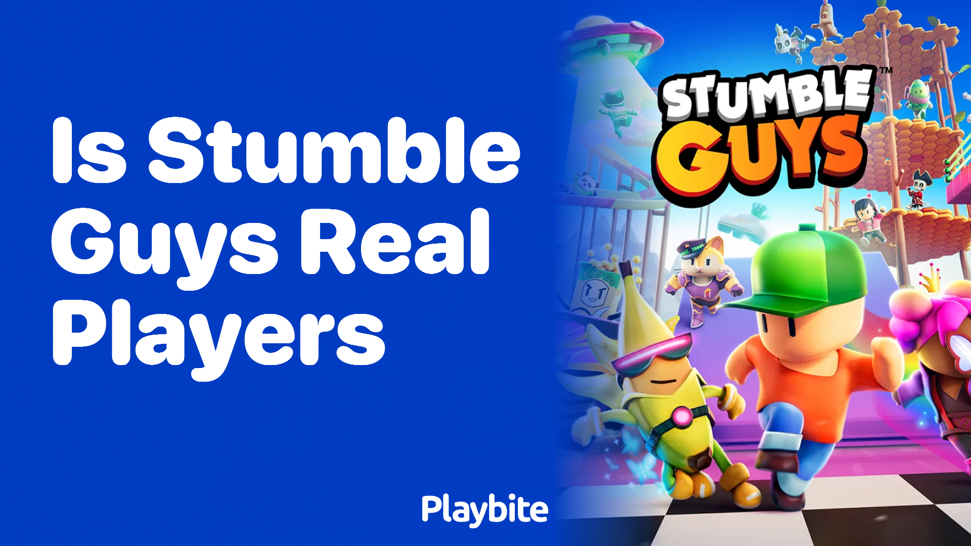 Is Stumble Guys Real Players or Bots?