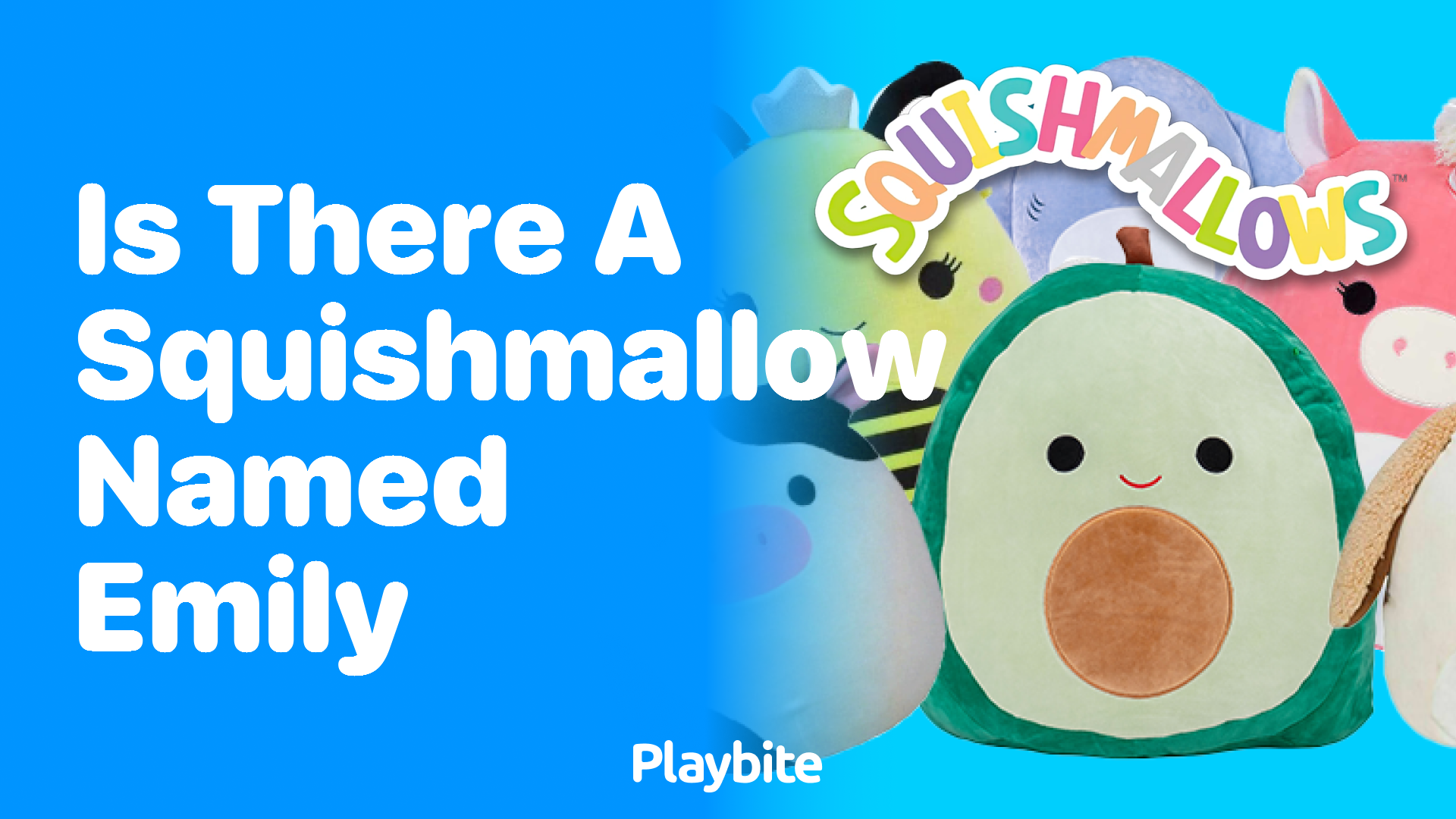 Is There a Squishmallow Named Emily?