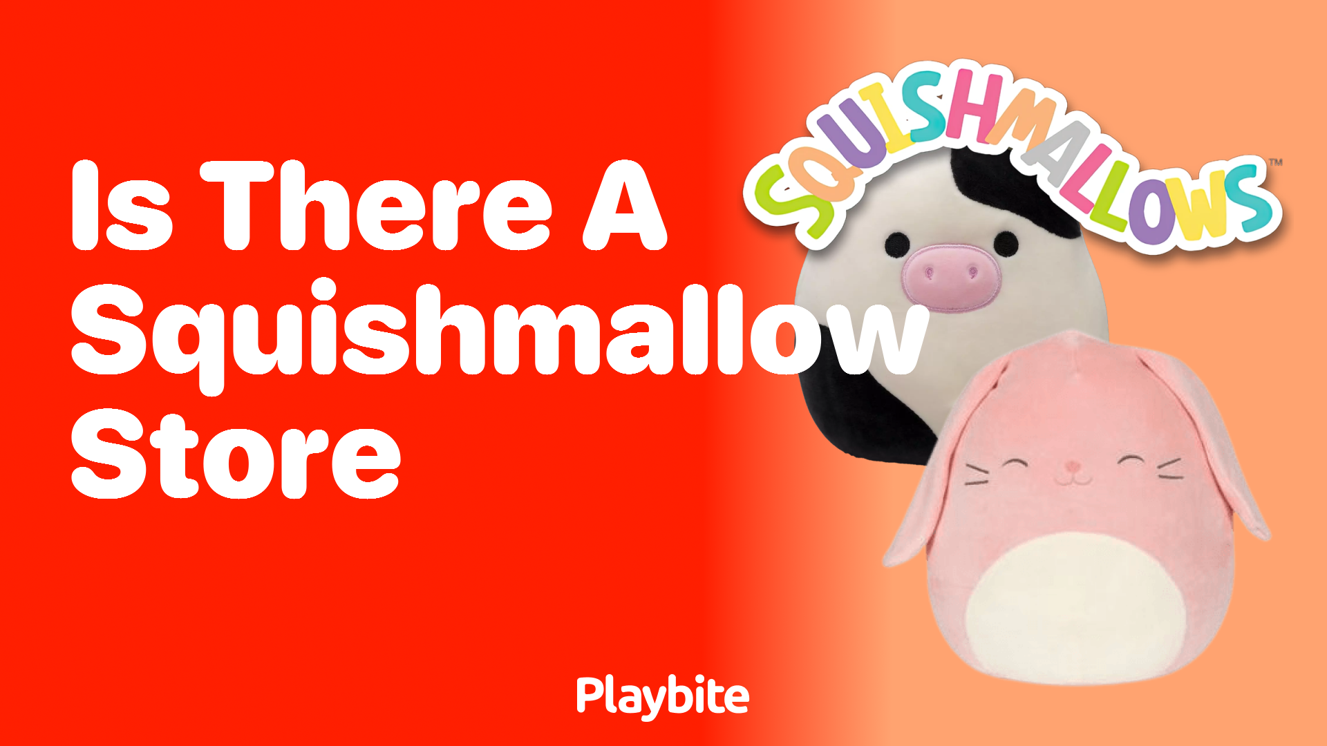 Is There a Squishmallow Store?