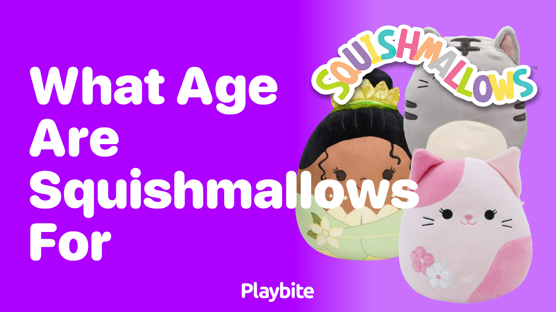 What Age are Squishmallows For? Exploring the Ideal Audience