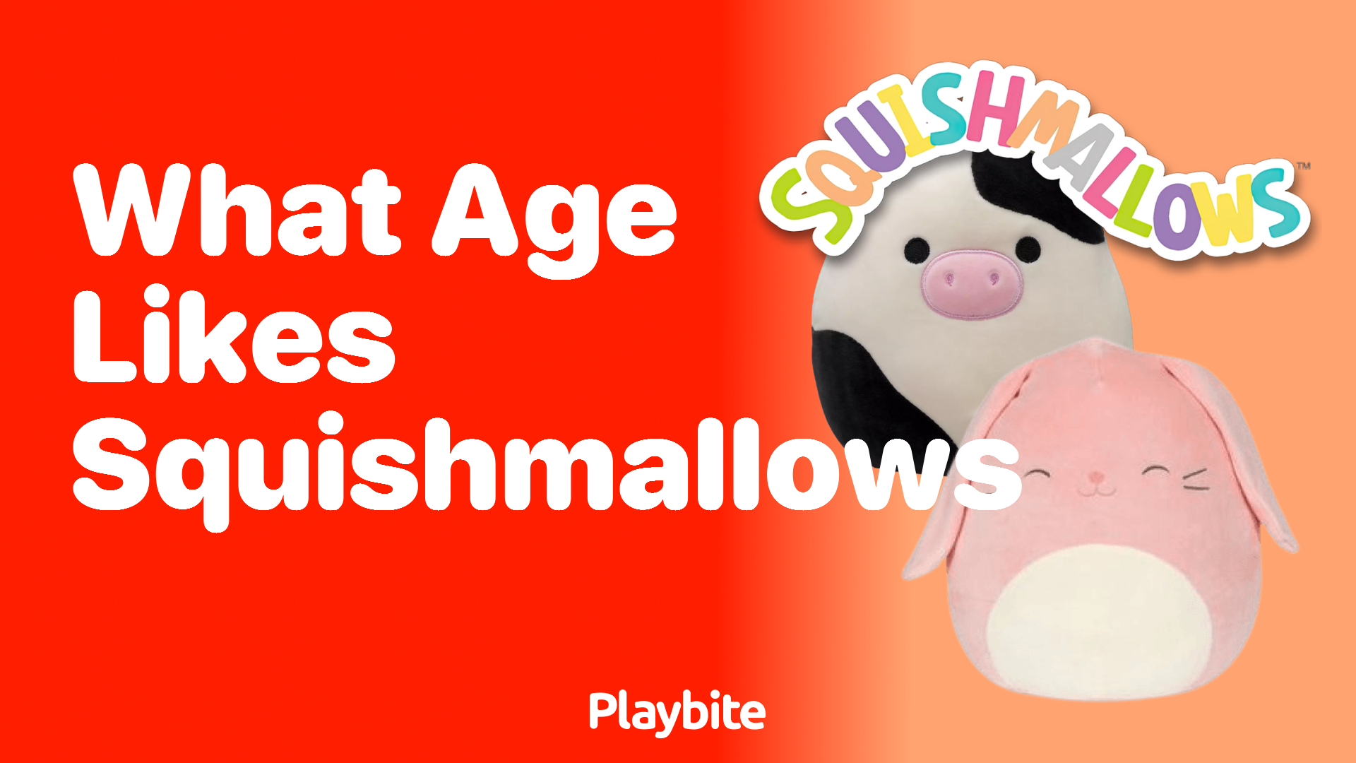 What Age Likes Squishmallows the Most?