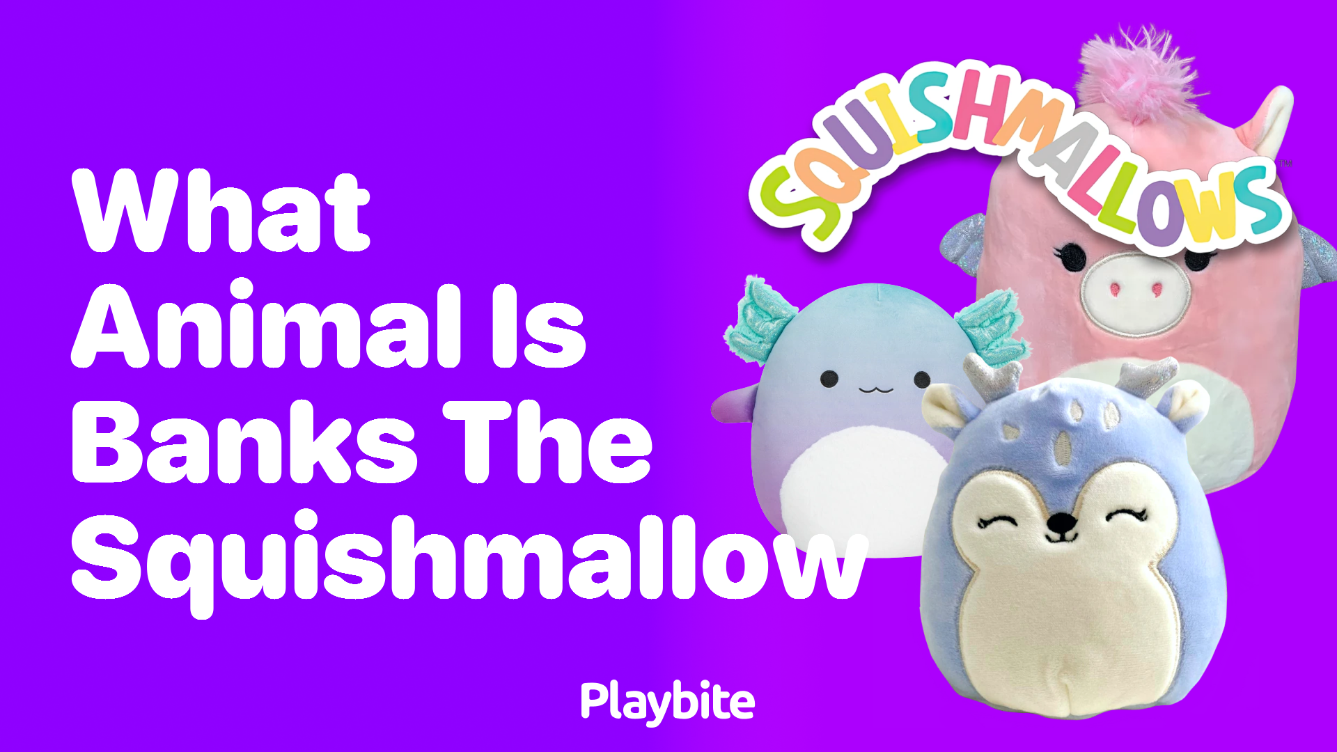 What Animal is Banks the Squishmallow?