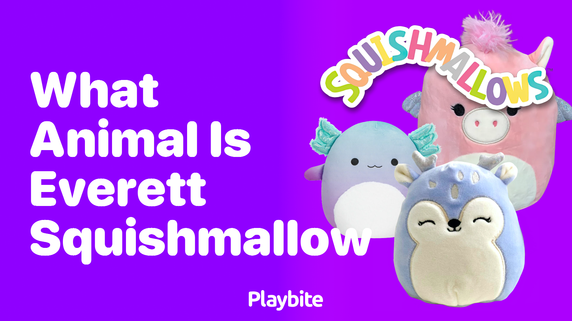 What Animal is Everett Squishmallow?