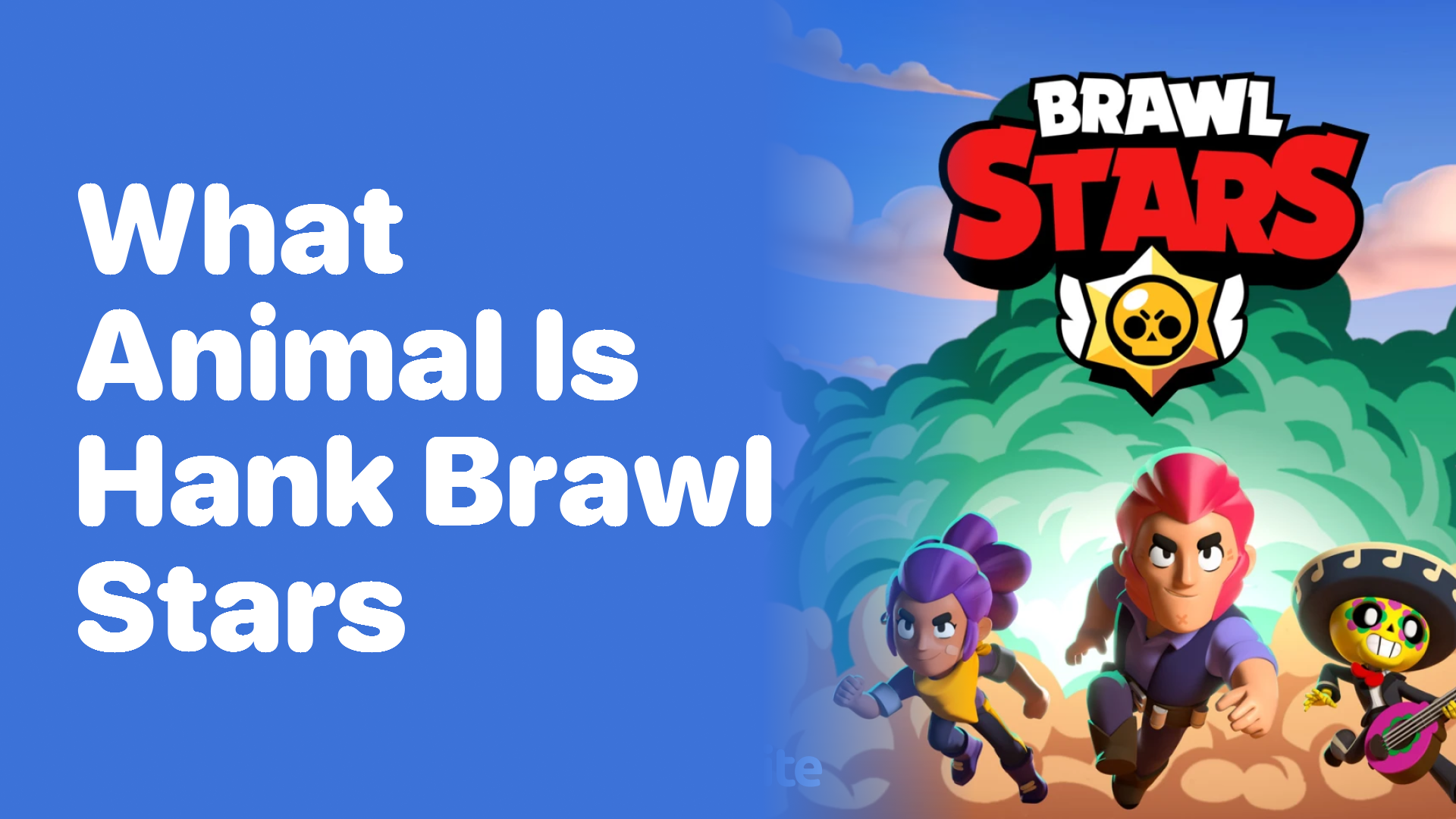 What Animal is Hank from Brawl Stars?