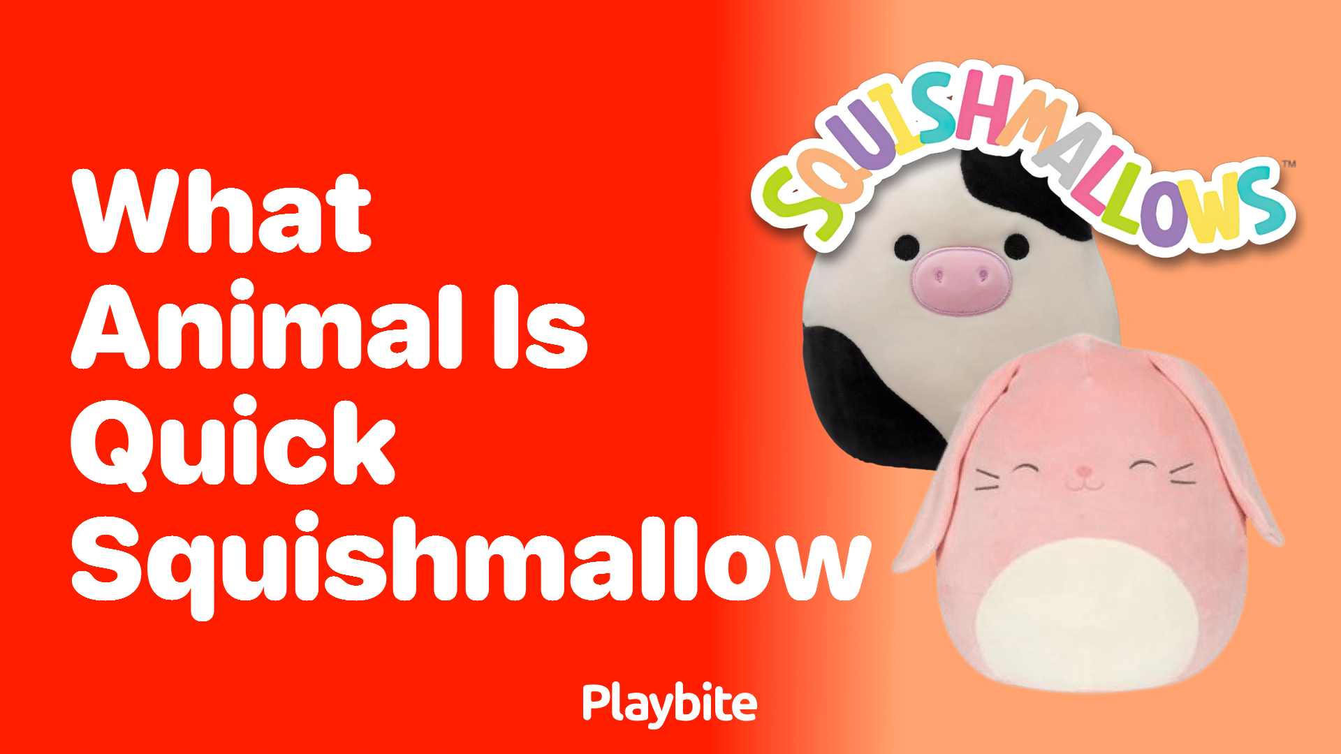 What Animal is Quick Squishmallow?