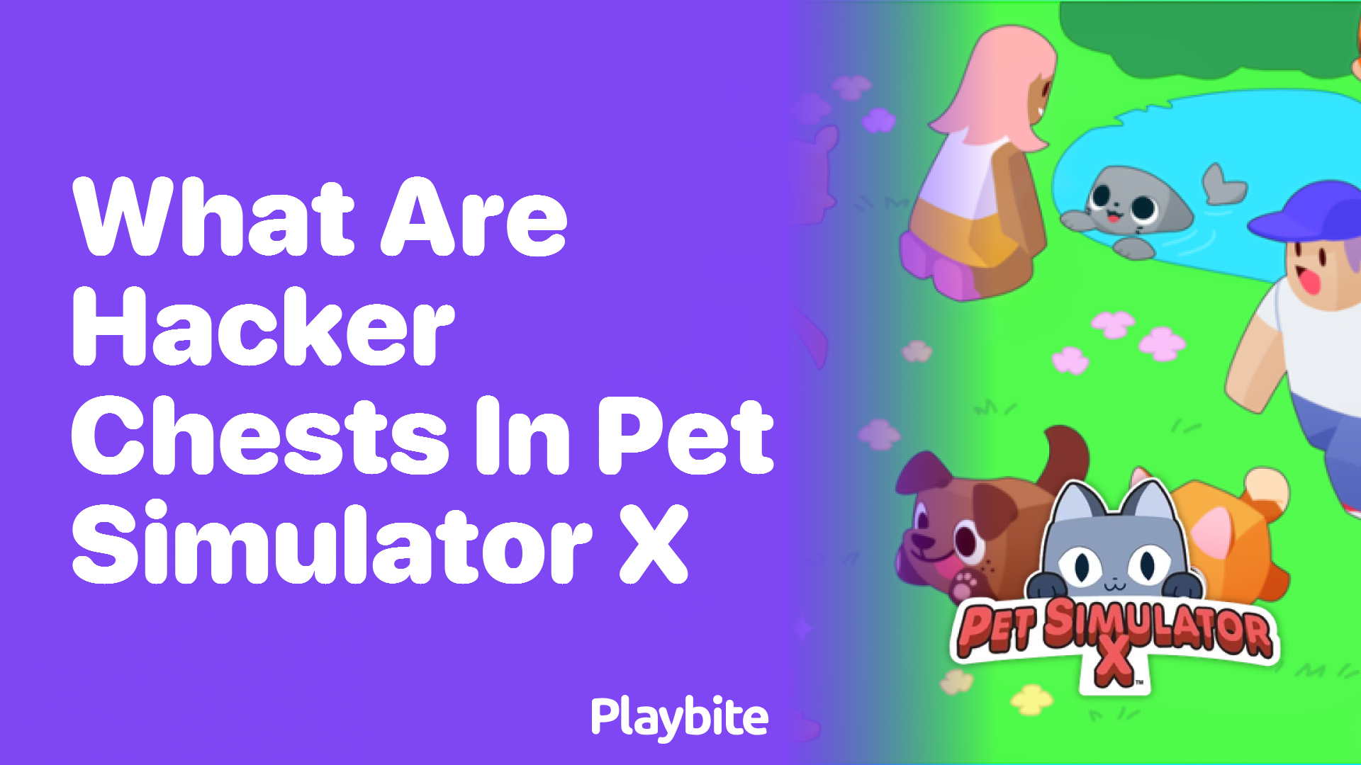 What are Hacker Chests in Pet Simulator X?