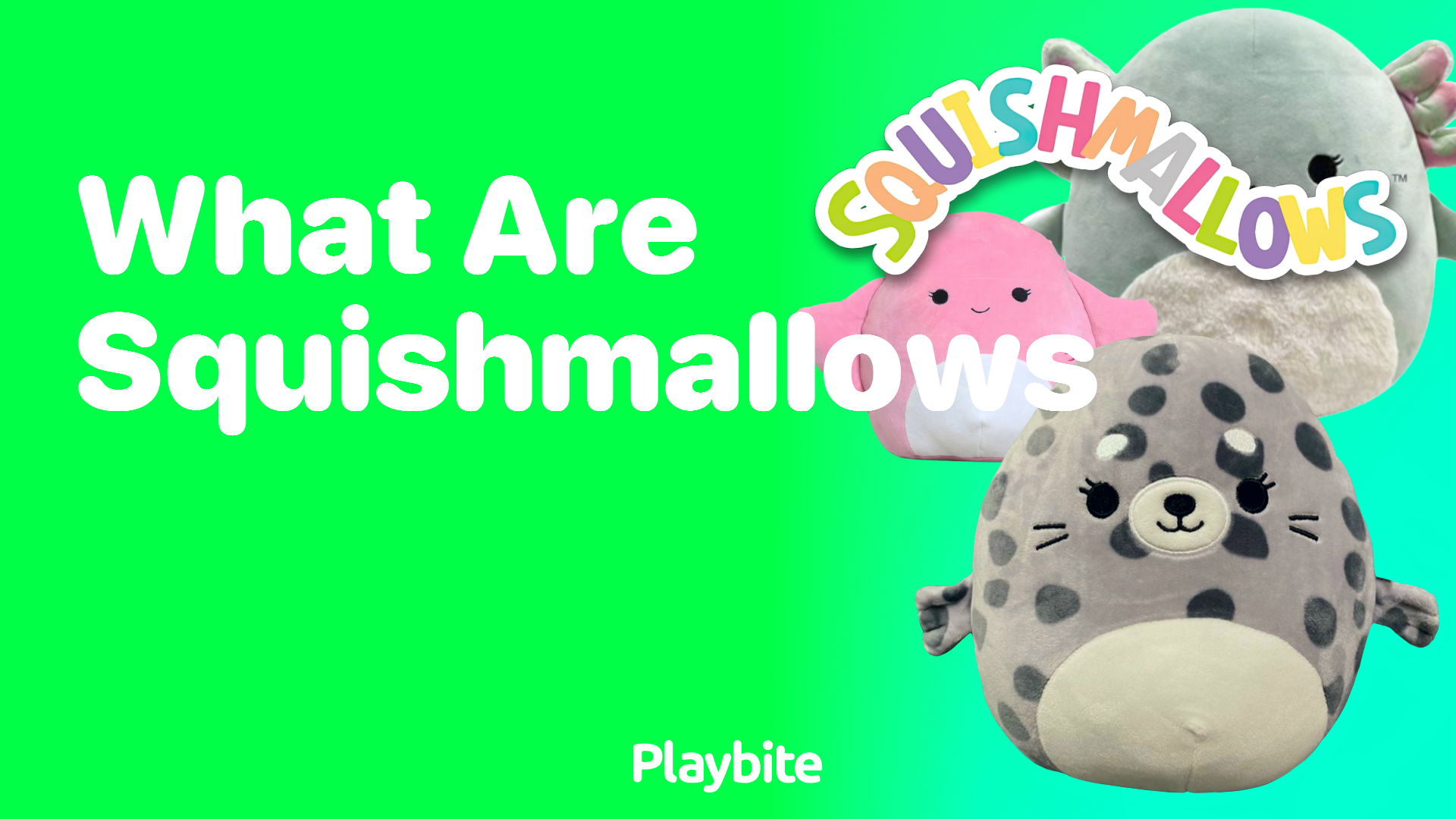 What Are Squishmallows? Dive Into the World of Cuddly Collectibles!