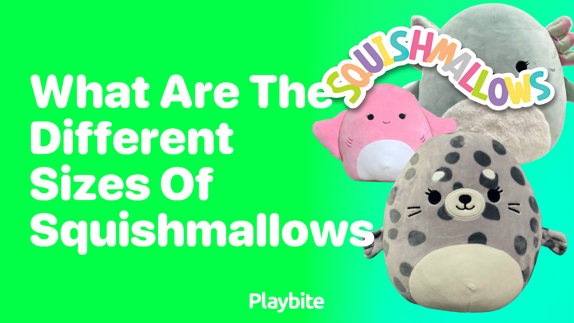 What Are the Different Sizes of Squishmallows?