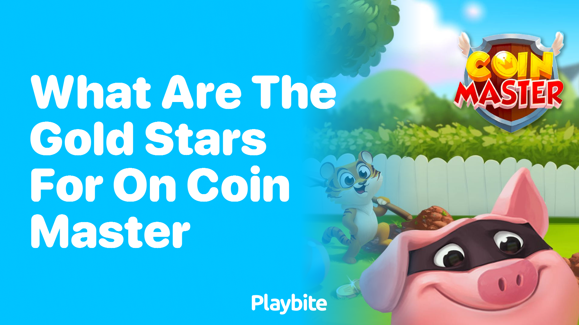 What Are the Gold Stars For in Coin Master?