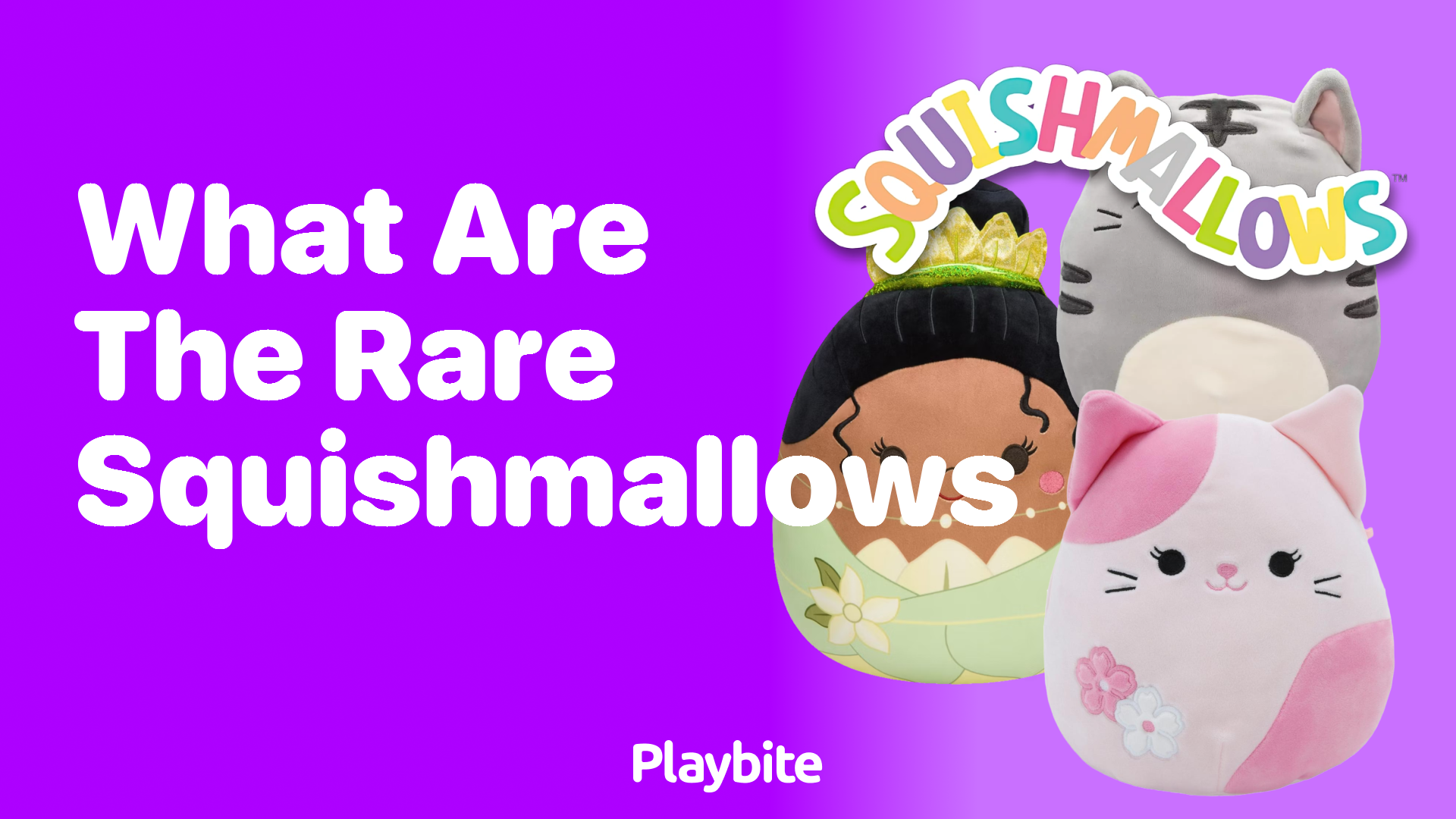 Uncovering the Mystery: What Are the Rare Squishmallows?