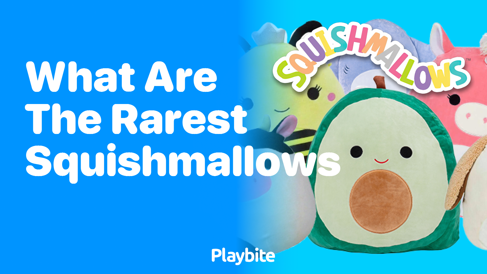 What Are the Rarest Squishmallows?