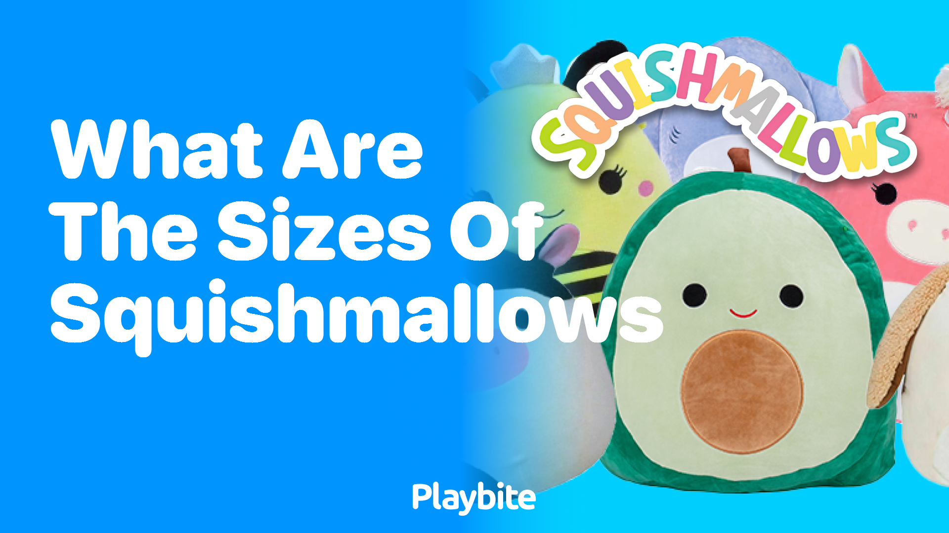 What Are the Sizes of Squishmallows?