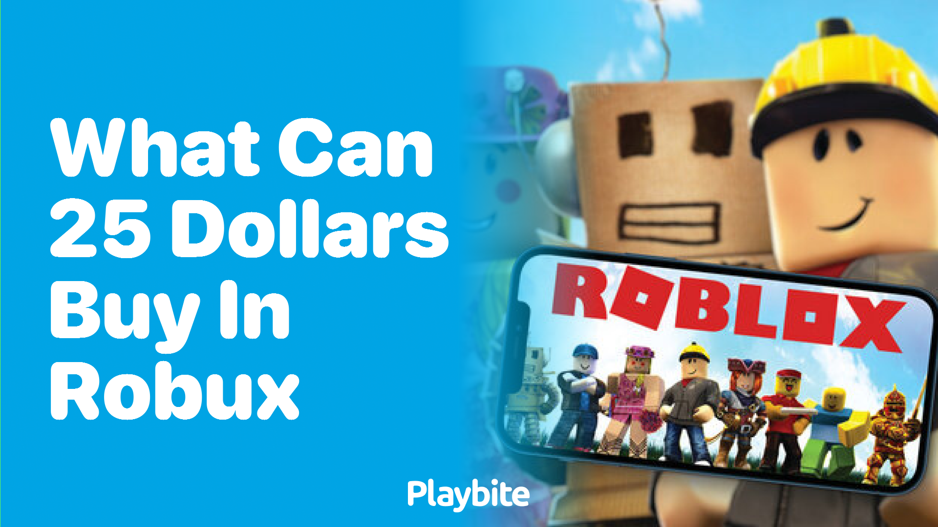 What Can 25 Dollars Get You in Robux?