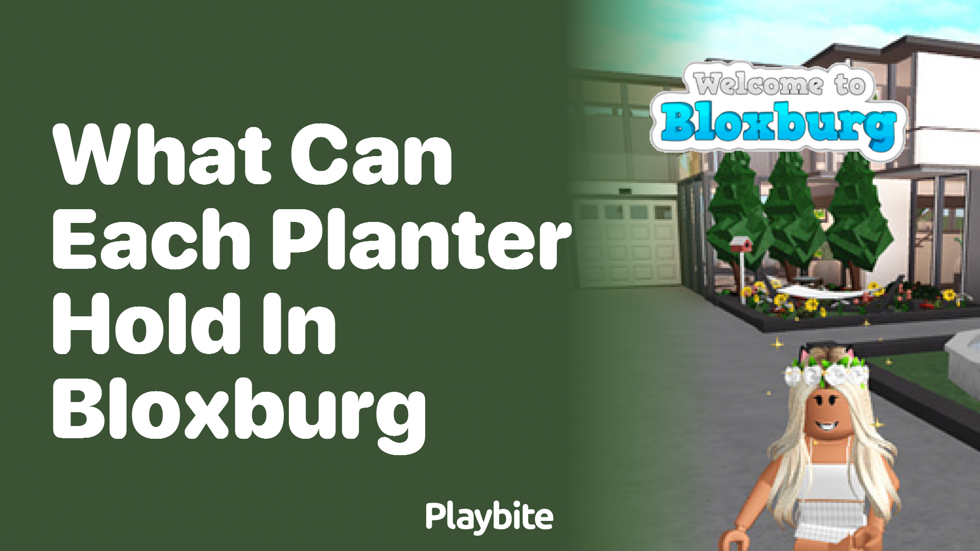 What Can Each Planter Hold in Bloxburg?