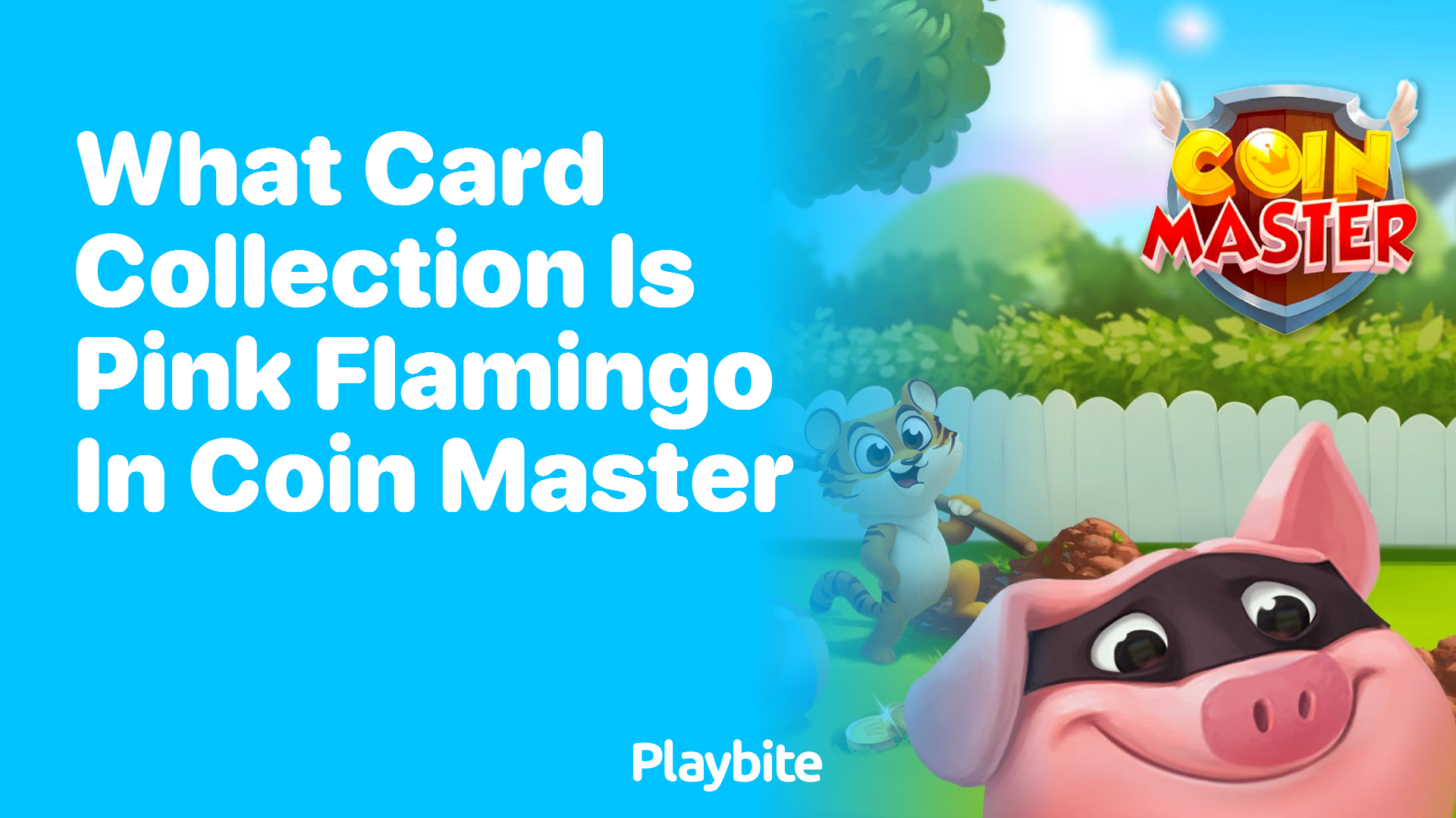 What Card Collection Is Pink Flamingo in Coin Master?