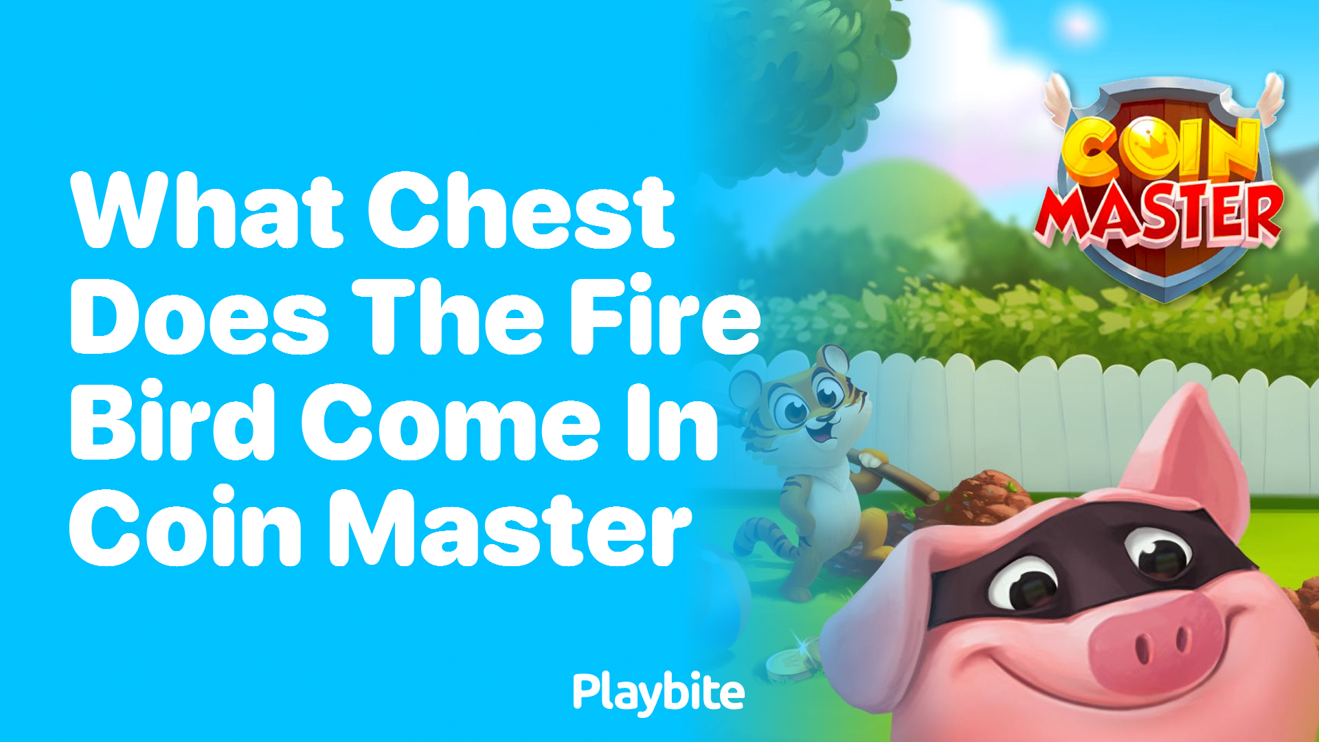 What Chest Does the Fire Bird Come In Coin Master?