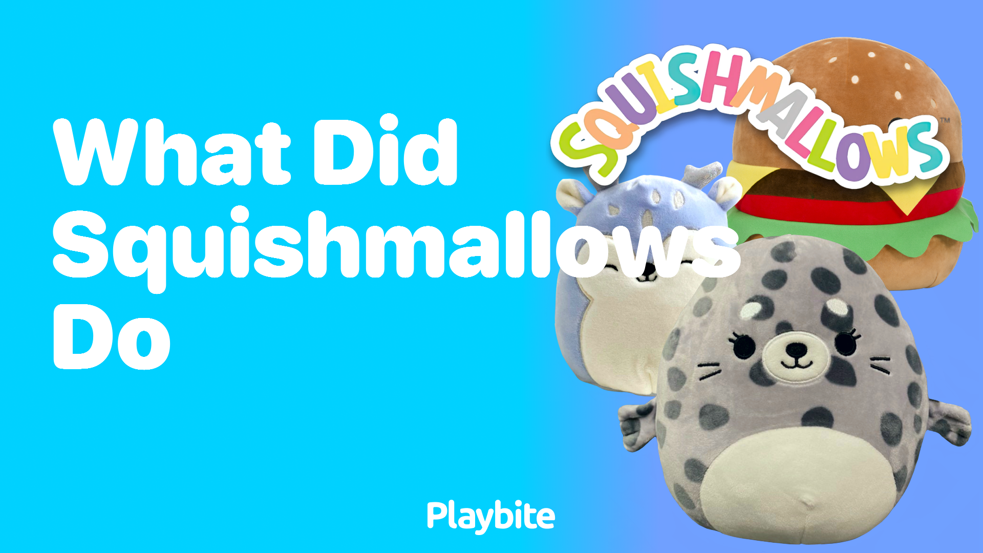 What Did Squishmallows Achieve Since Their Launch?