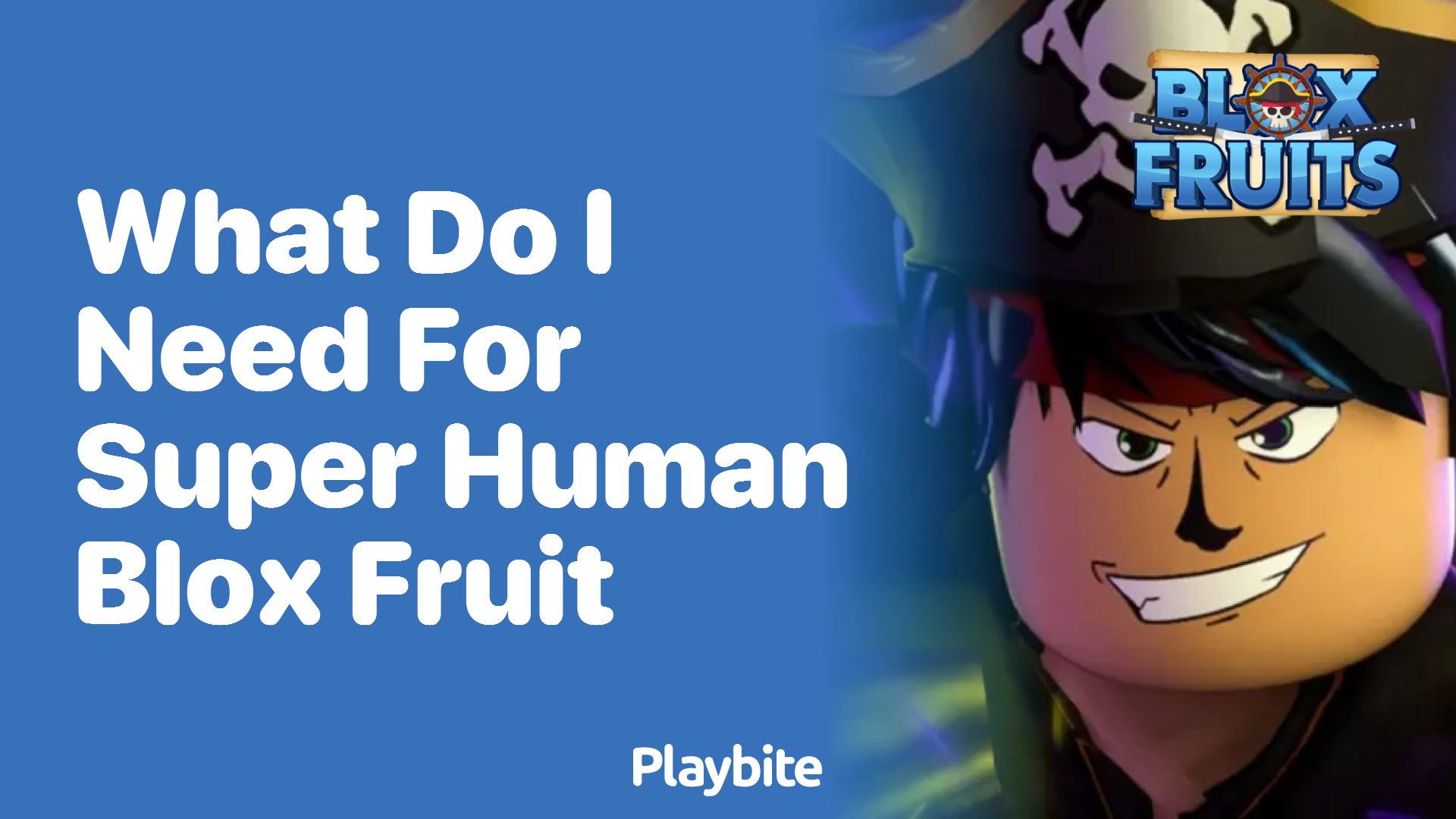 What Do I Need for Super Human Blox Fruit?