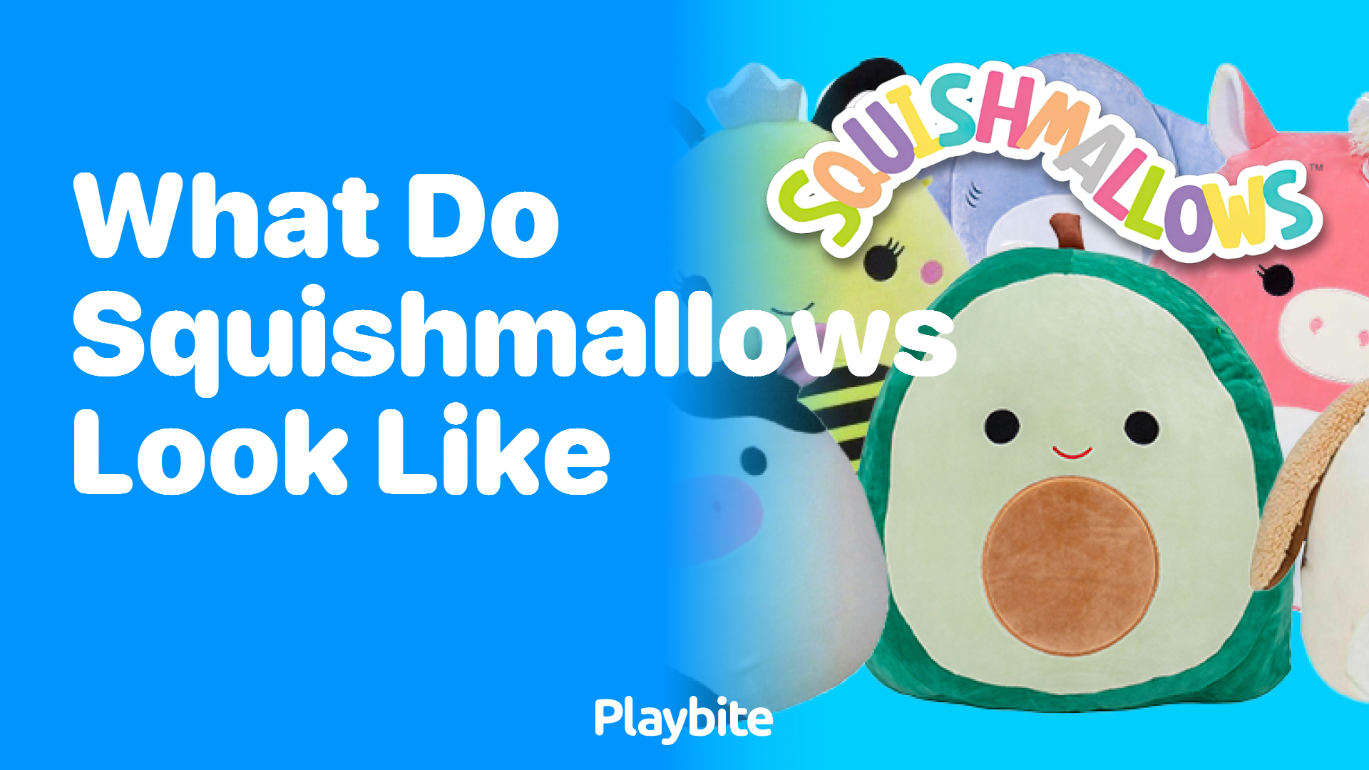 What Do Squishmallows Look Like? Dive into Their Cuddly World