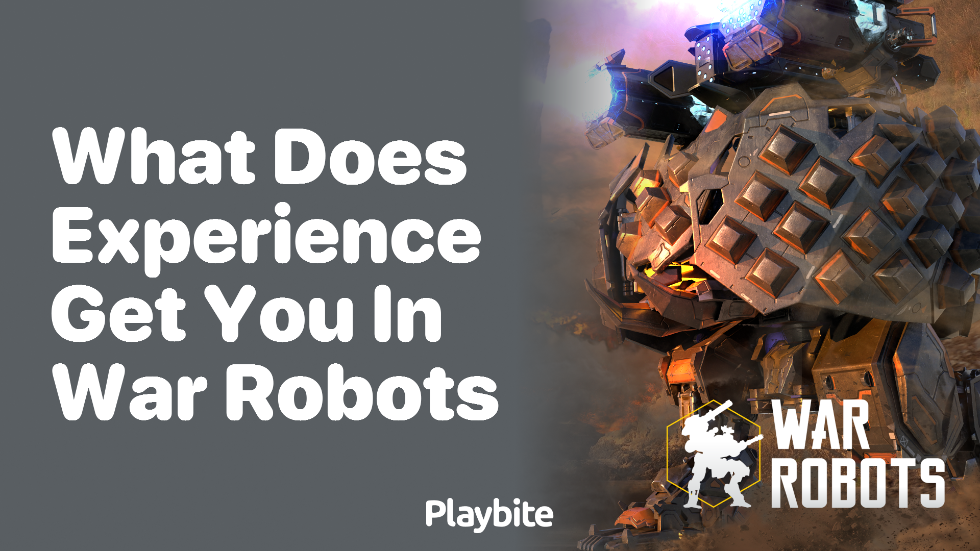What Does Experience Get You in War Robots?