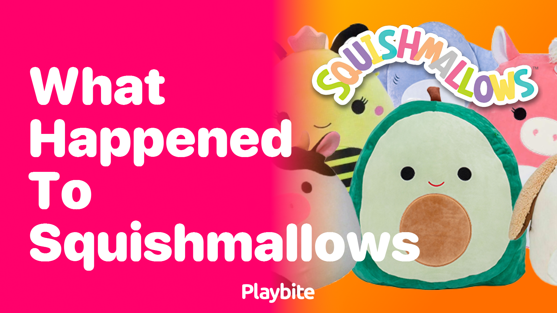 What Happened to Squishmallows? Unraveling the Cuddly Mystery