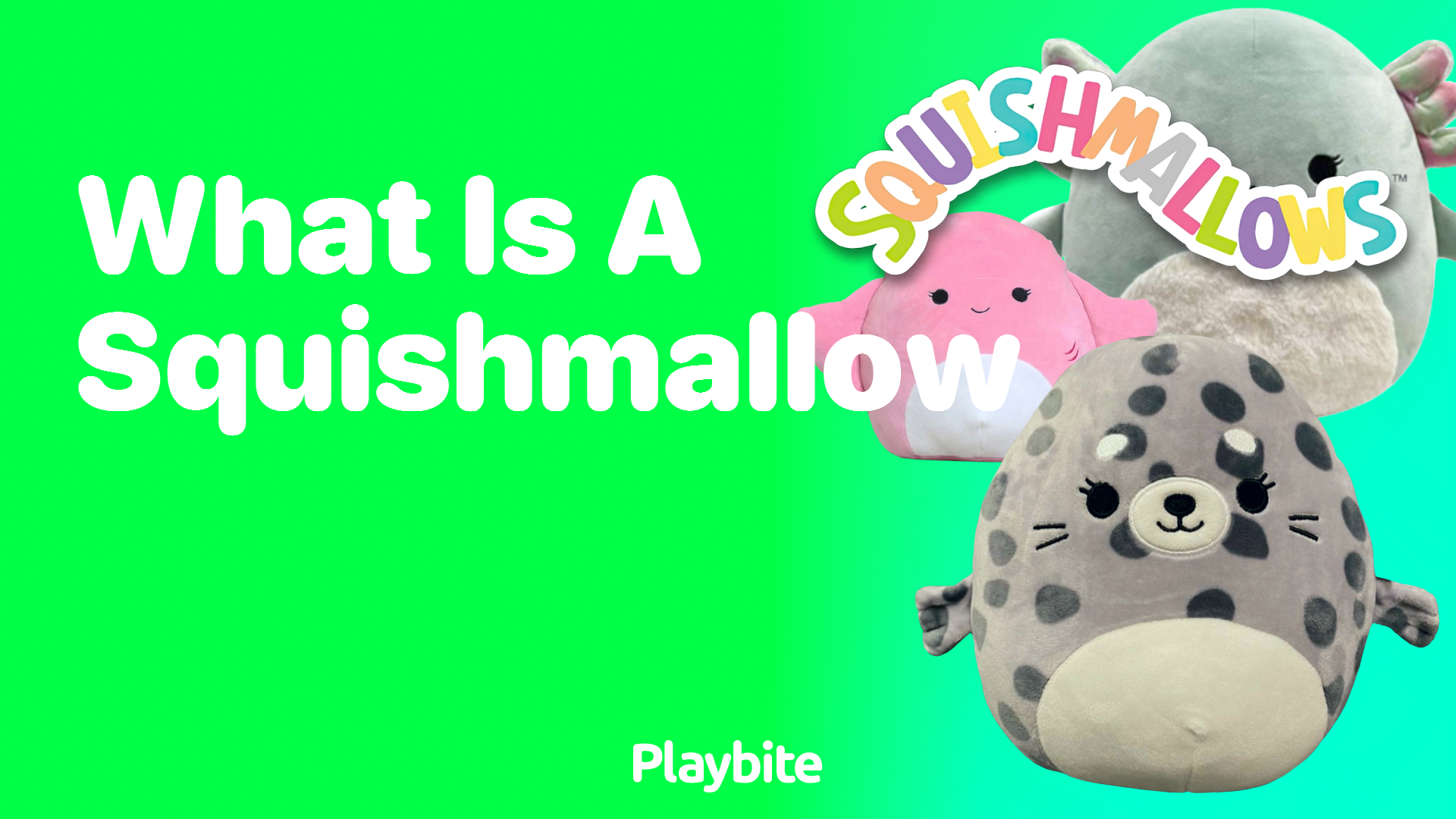 What is a Squishmallow? Uncover the Cuddly World