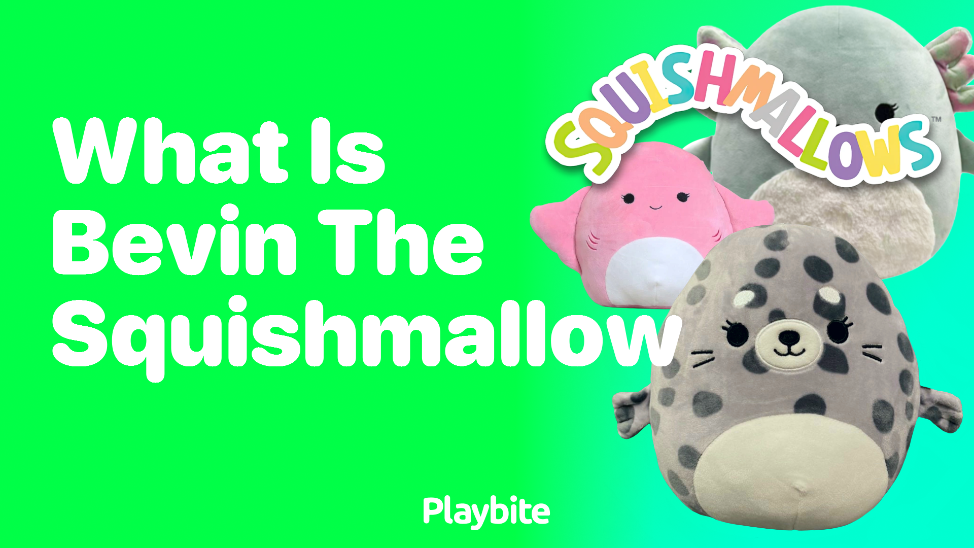 What is Bevin the Squishmallow?