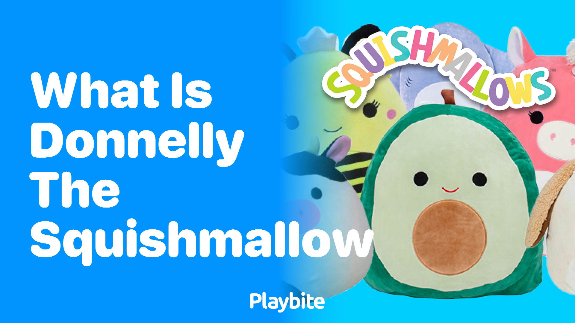 What is Donnelly the Squishmallow?