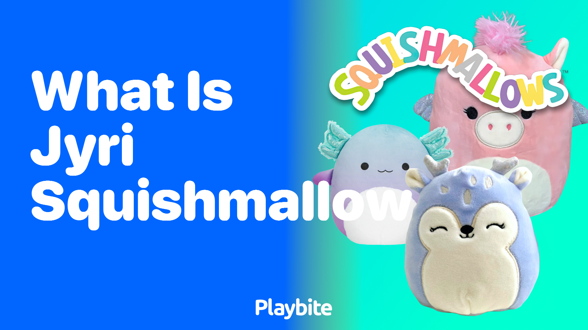 What is Jyri Squishmallow?