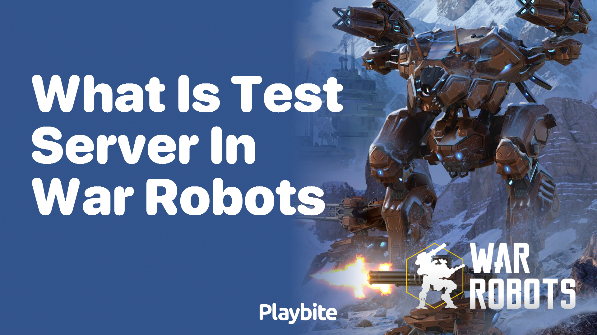 What Is a Test Server in War Robots?