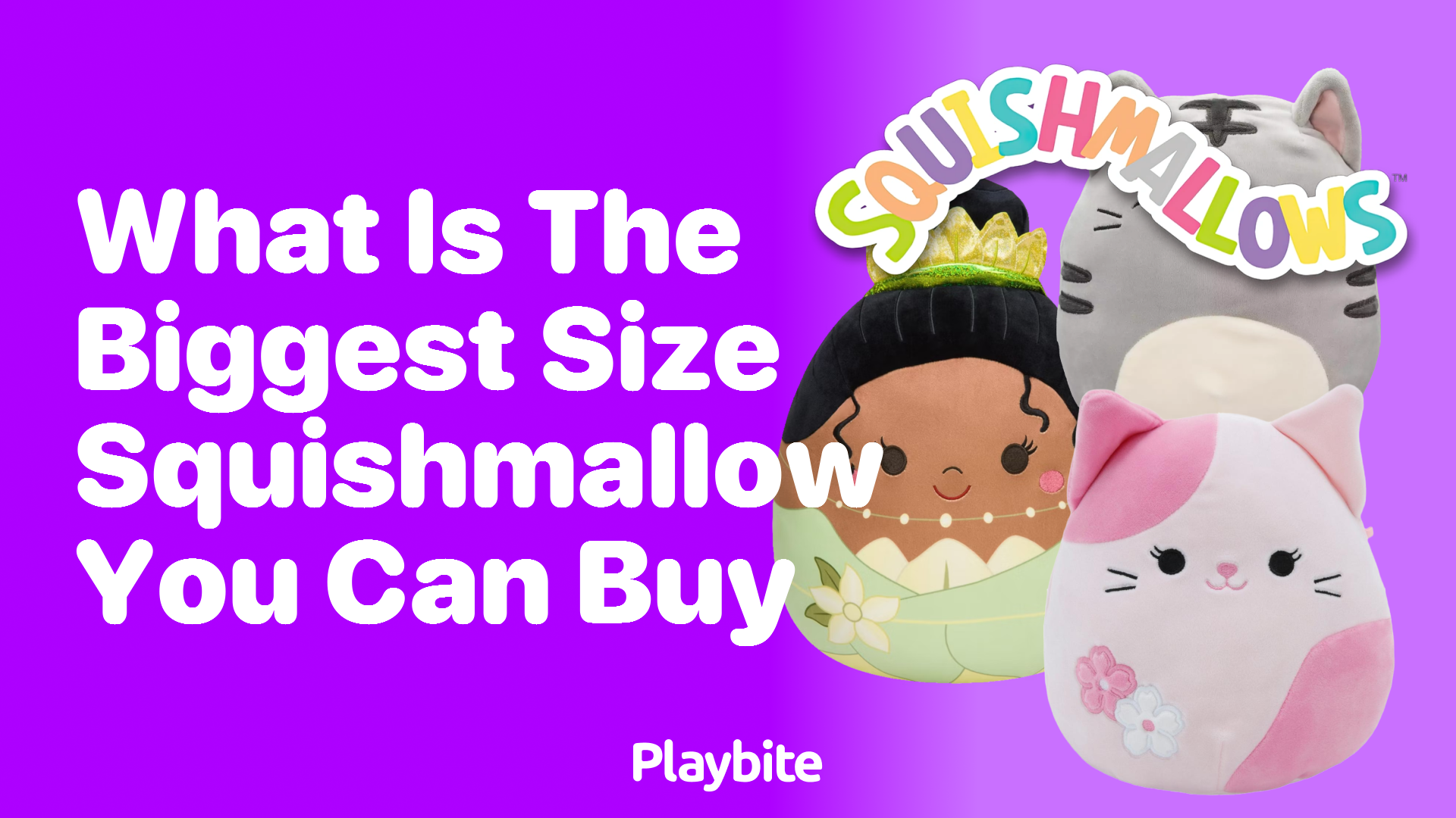 What is the Biggest Size Squishmallow You Can Buy?