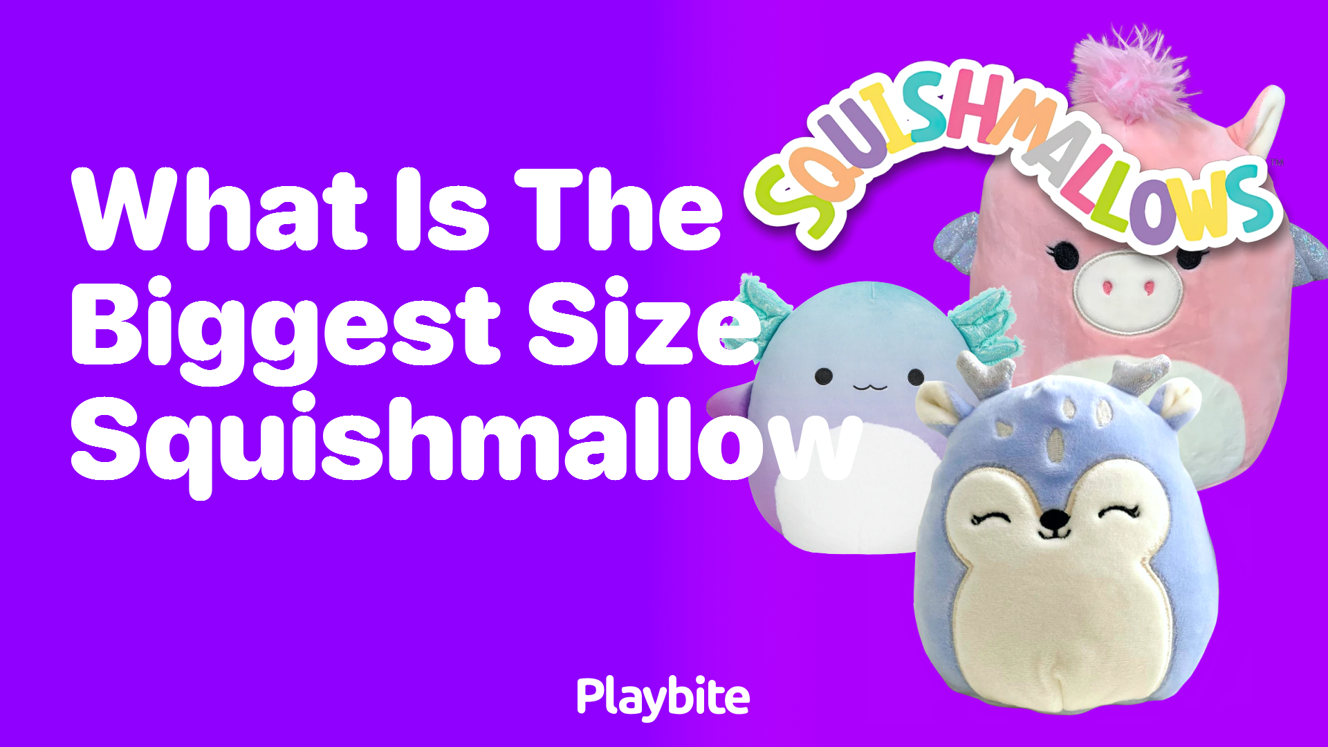 Biggest Squishmallows ever. Human sized.