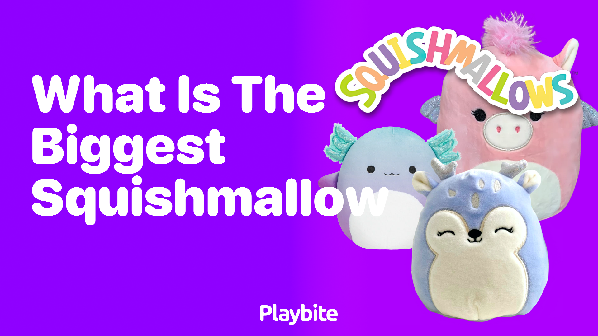 What is the Biggest Squishmallow?