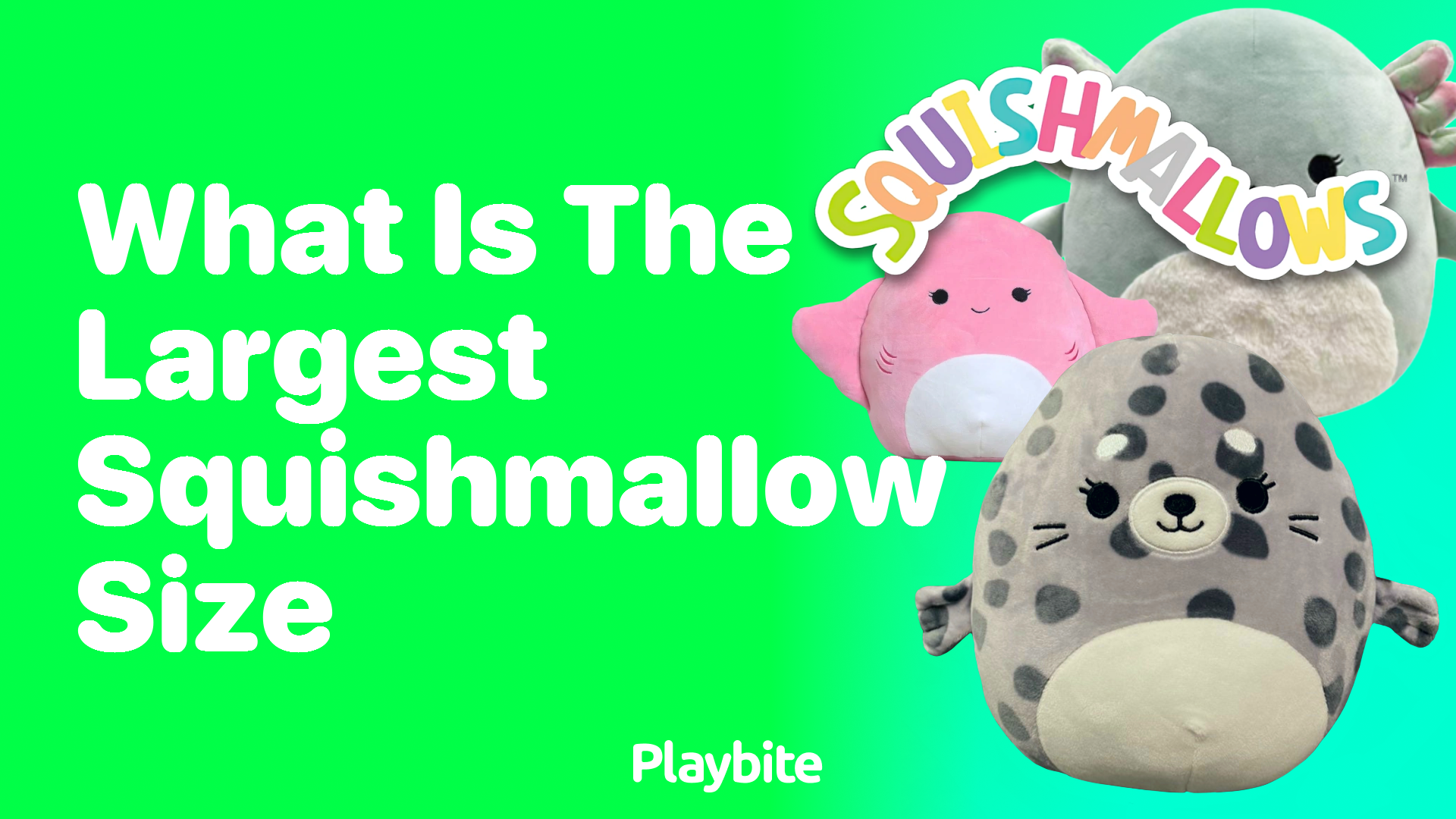 Biggest Squishmallows ever. Human sized.