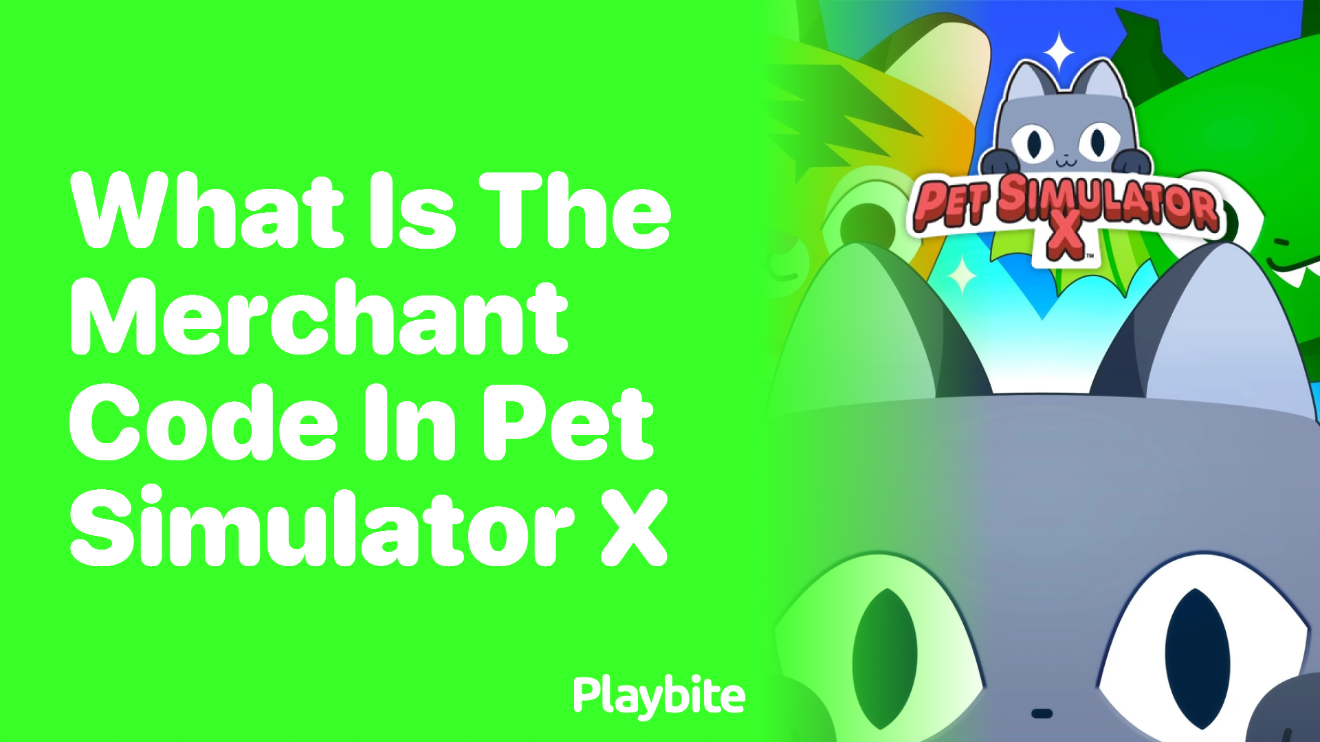 What Is the Merchant Code in Pet Simulator X