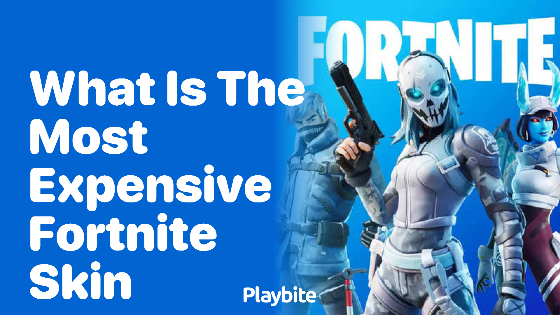 What is the Most Expensive Fortnite Skin?