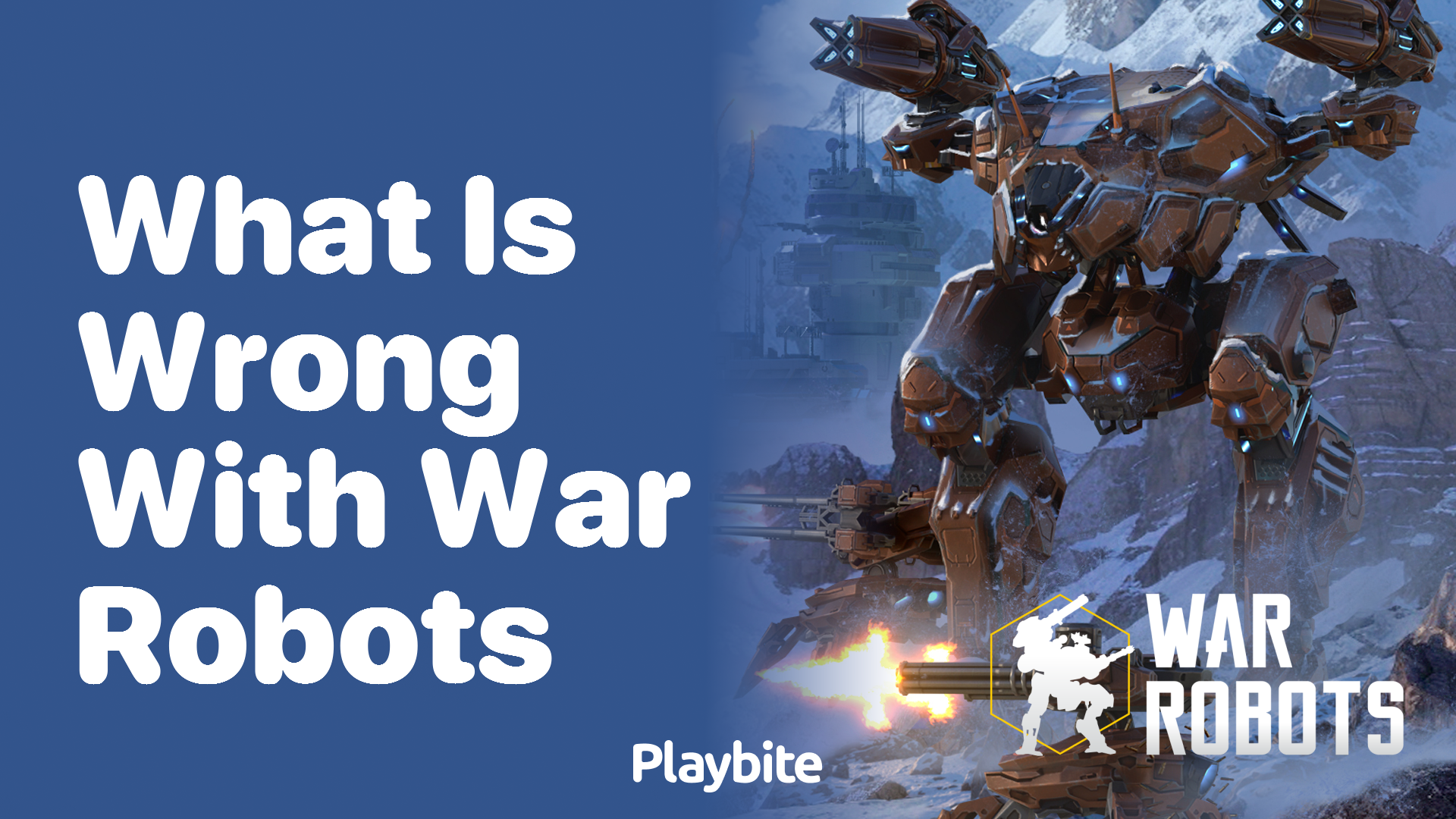 What is Wrong with War Robots?