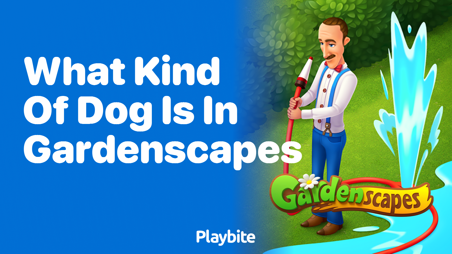 What Kind of Dog is in Gardenscapes?