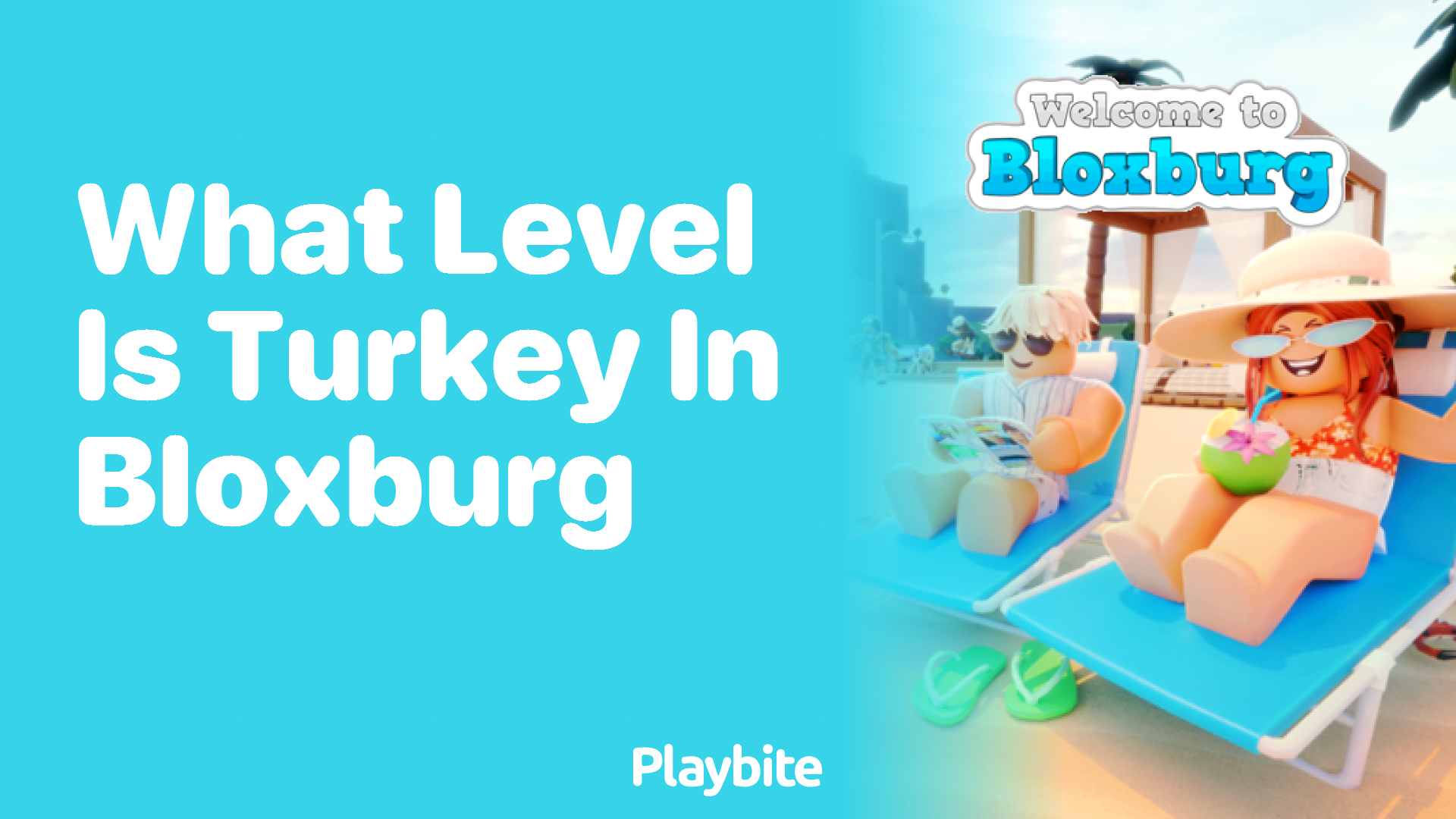 What Level Is Turkey in Bloxburg?