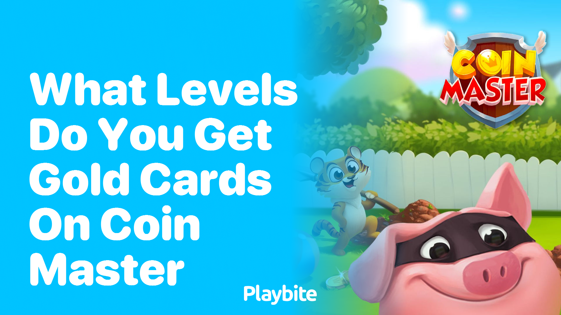 What Levels Do You Get Gold Cards On Coin Master?