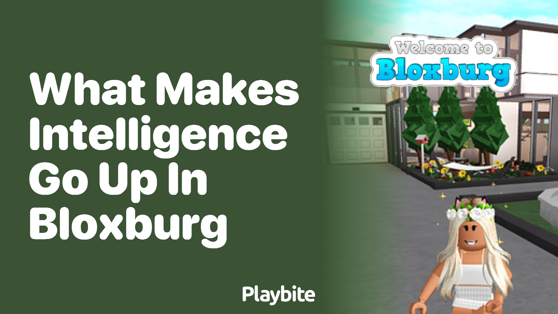 What Makes Intelligence Go Up in Bloxburg?