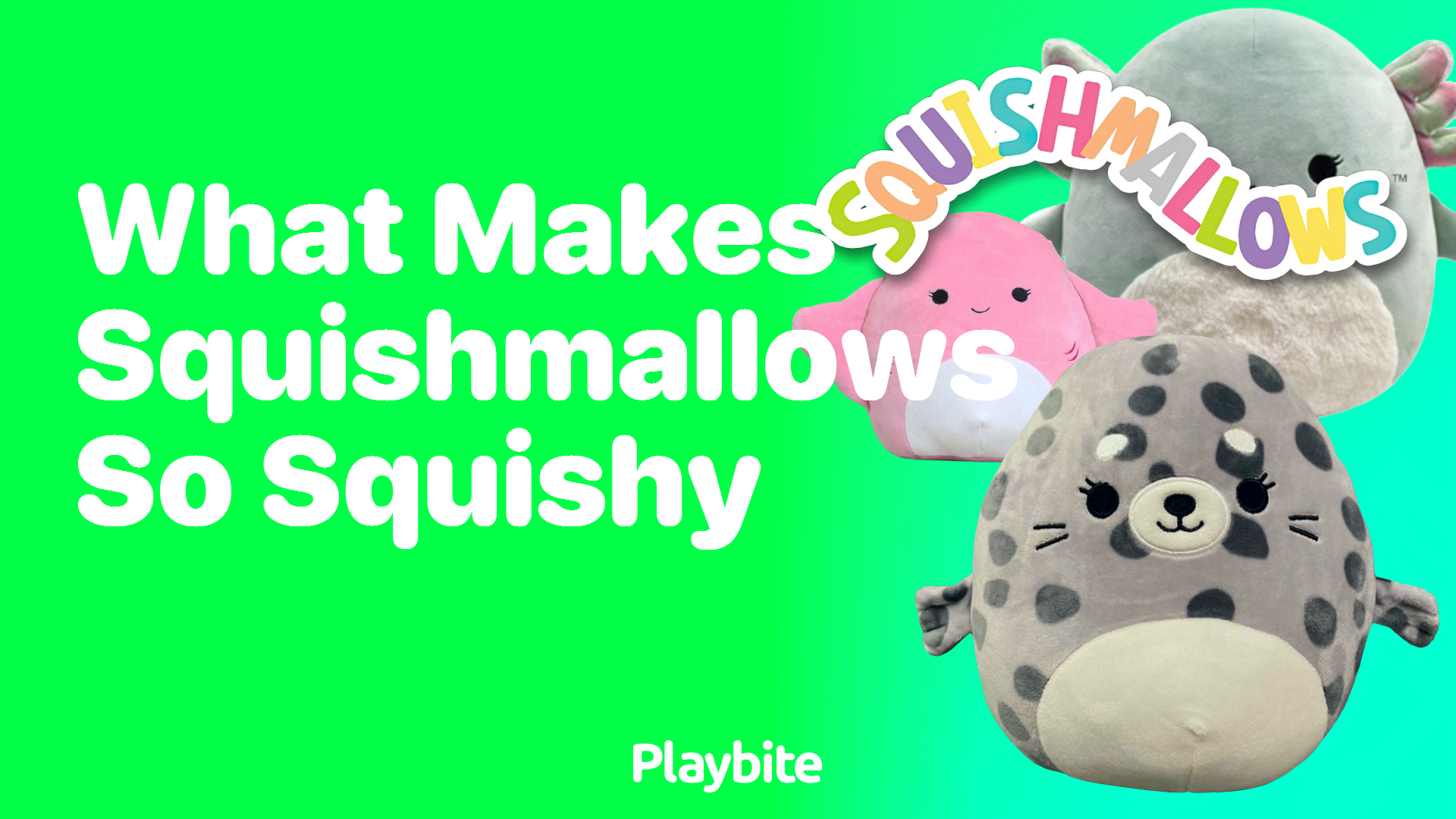 What Makes Squishmallows So Squishy?