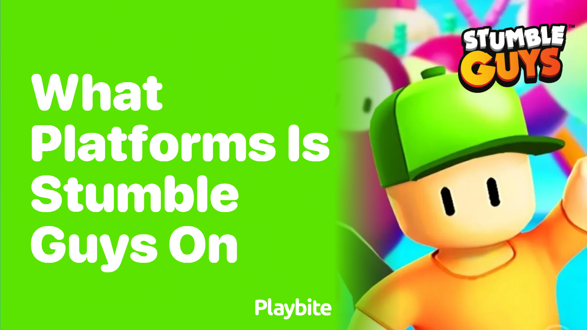 What Platforms Can You Play Stumble Guys On?