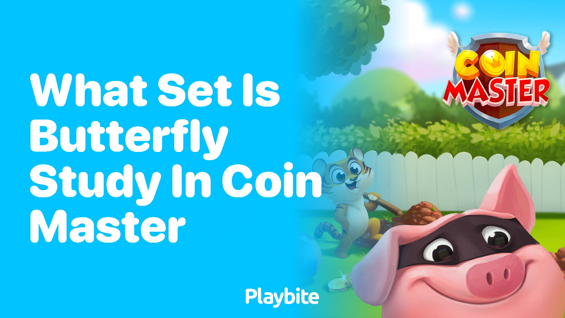 What Set Is Butterfly Study In on Coin Master?