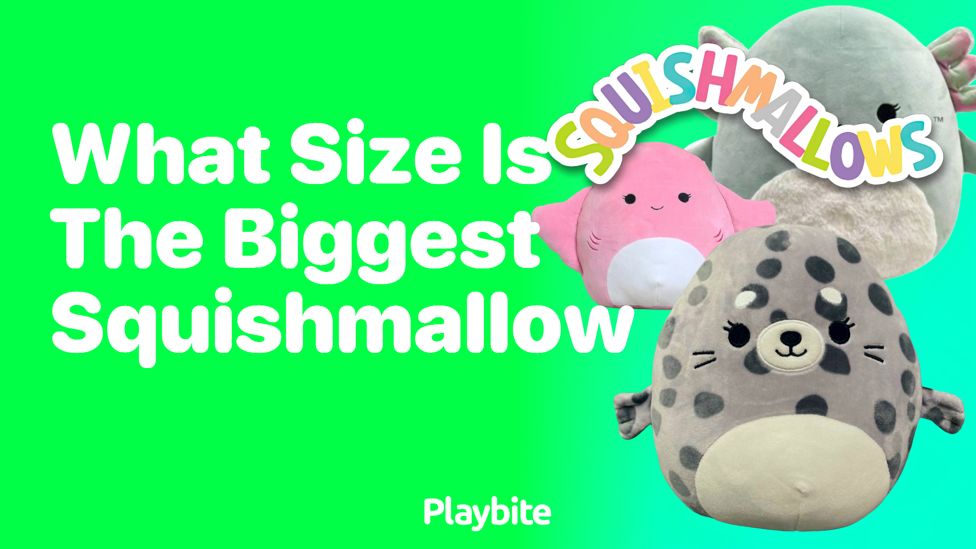 What Size is the Biggest Squishmallow?