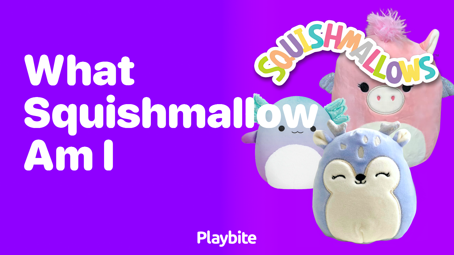 Finding Out: What Squishmallow Am I?