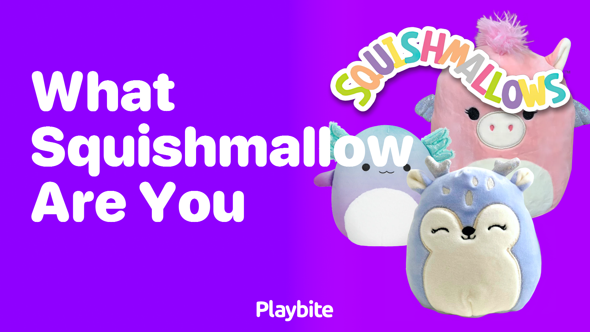 What Squishmallow are You? Discover Your Soft and Cuddly Match!