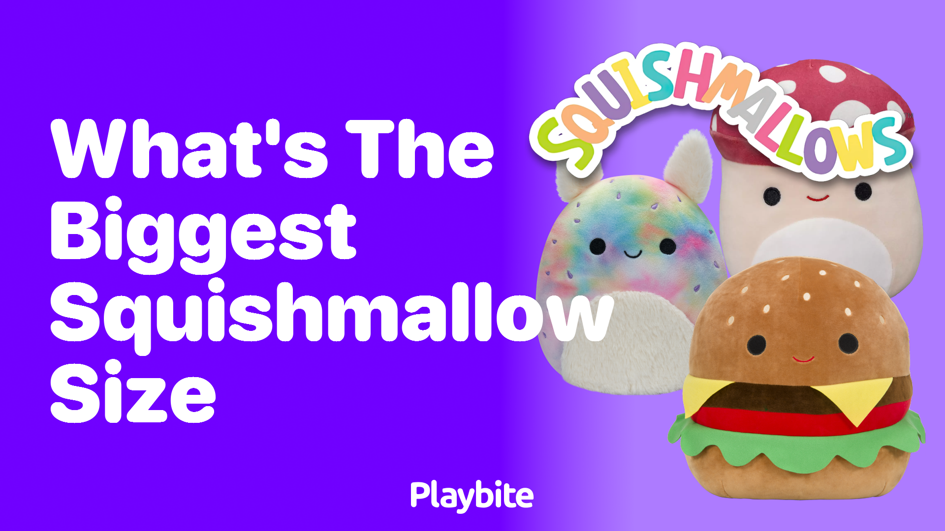 What&#8217;s the Biggest Squishmallow Size?