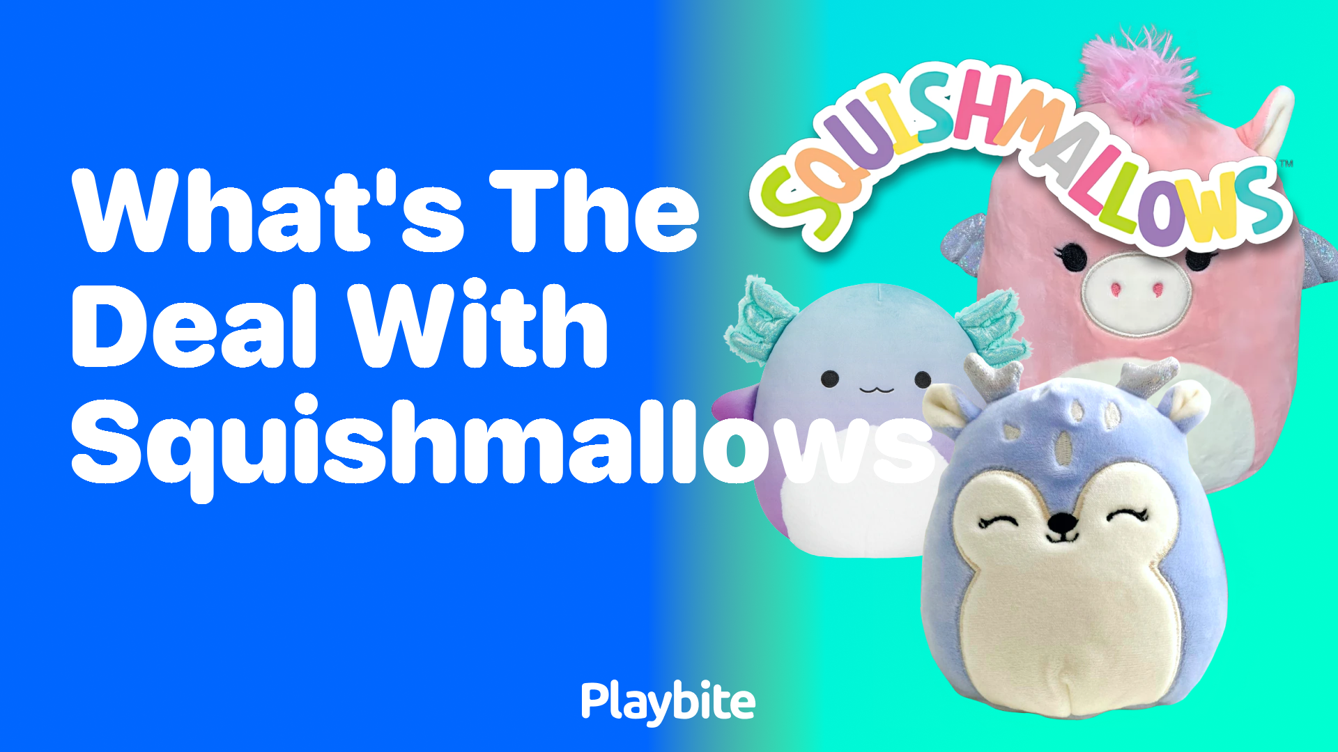 What&#8217;s the Deal With Squishmallows? Unraveling the Cuddly Phenomenon