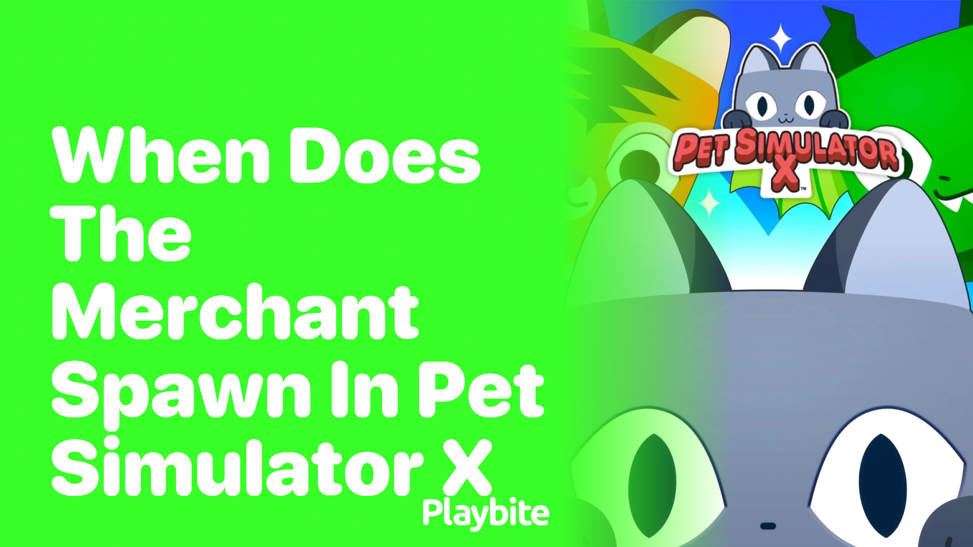 When Does the Merchant Spawn in Pet Simulator X?